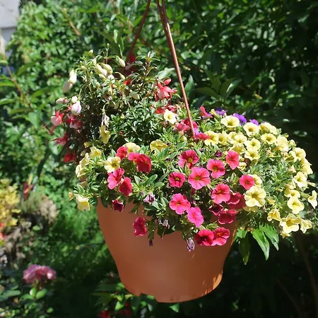 Familien-ferienwohnung Haustein * Konigswalde